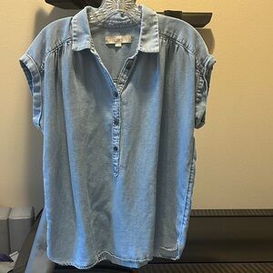 LOFT Soft Blue Button-Up Blouse